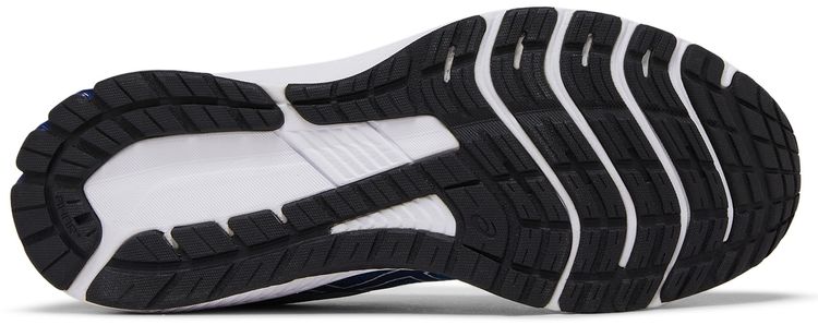 Asics GT 1000 11 Lake Drive