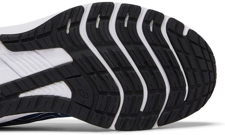 Asics GT 1000 11 Lake Drive