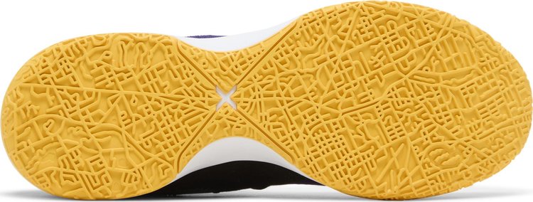 Zoom LeBron NXXT Gen Lakers