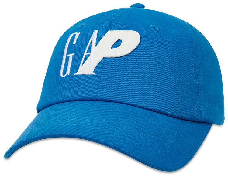 Palace x Gap 6-Panel 'Blue'