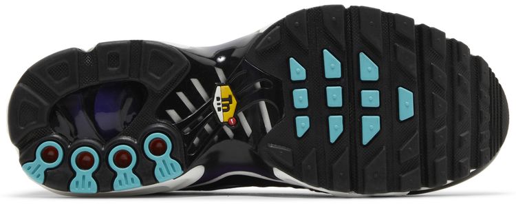 Nike Air Max Plus GS Reverse Grape