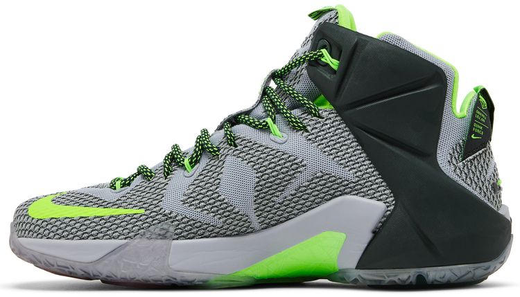 Nike LeBron 12 Dunkman