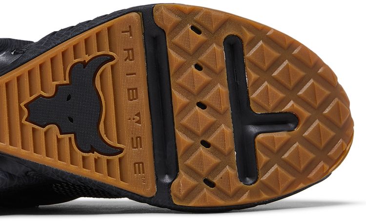 Under Armour Project Rock 5 Iron Paradise