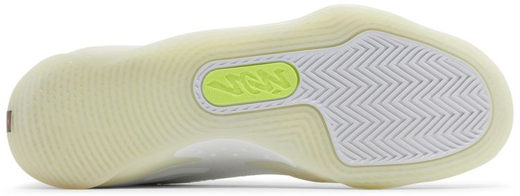 Air Jordan Zion 3 No Guts