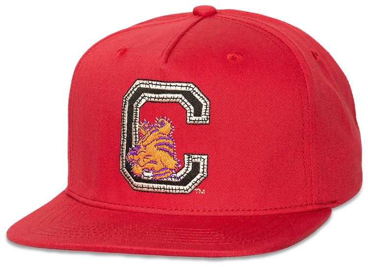 Cactus Jack by Travis Scott x Mitchell  Ness Clemson University Hat Red