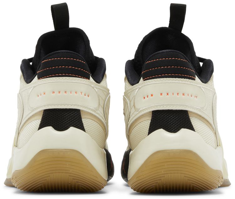 Air Jordan Luka 2 Neutral