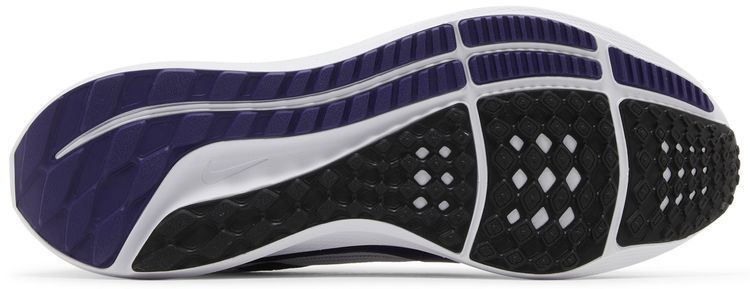 Nike Air Zoom Pegasus 40 TCU