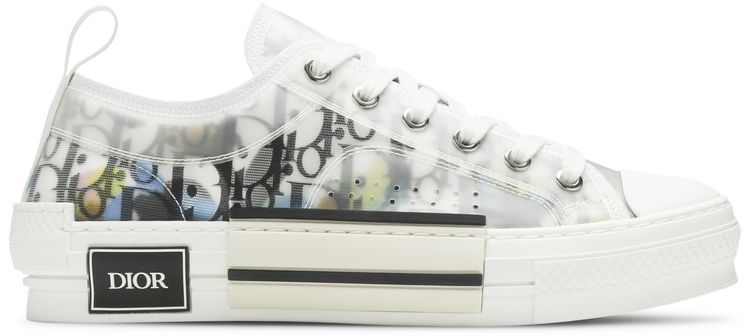Dior B23 Low Dior Oblique   Alex Foxton Print