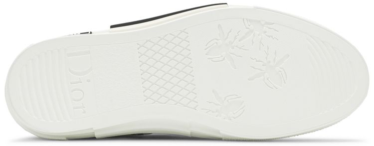 Dior B23 Low Dior Oblique   Alex Foxton Print