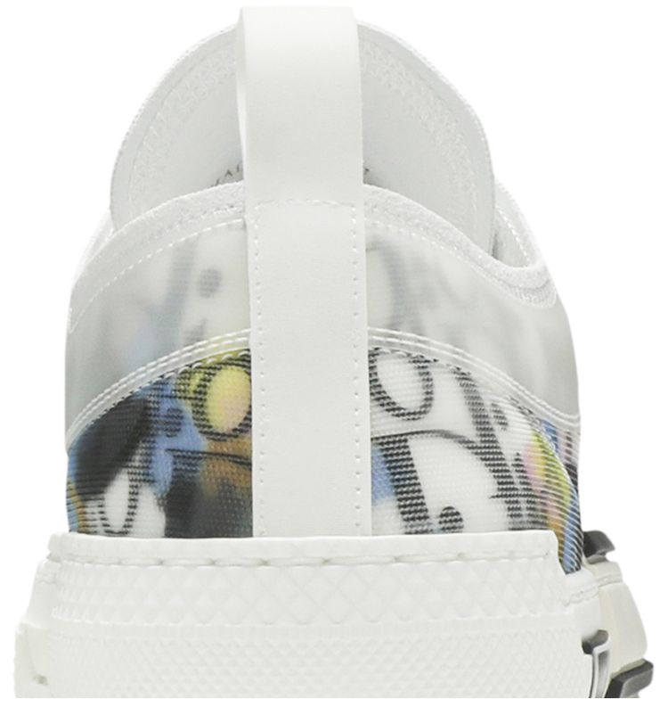 Dior B23 Low Dior Oblique   Alex Foxton Print