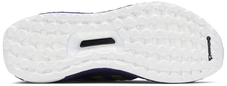 Adidas UltraBoost 10 NCAA Pack   Washington