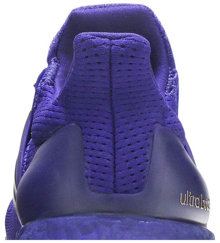 Adidas UltraBoost 10 NCAA Pack   Washington