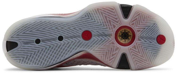 Air Jordan 38 Celebration