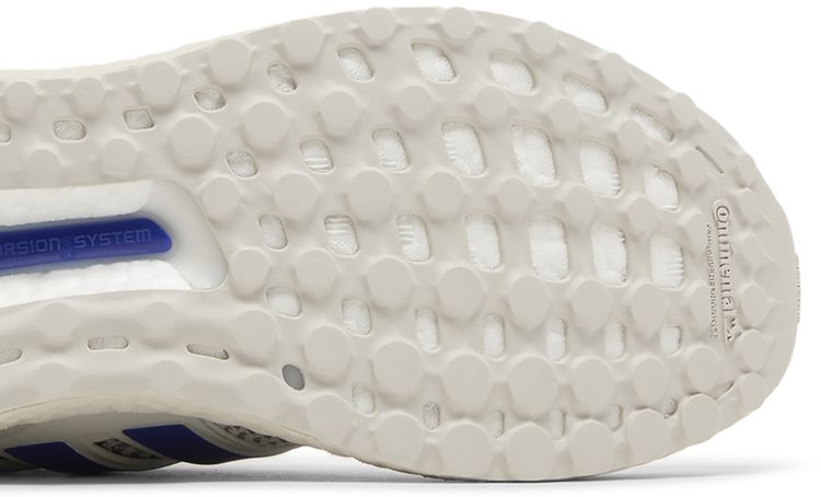 UltraBoost 10 Grey Lucid Blue
