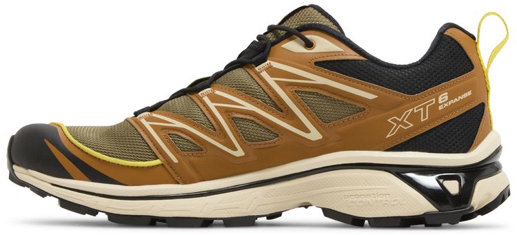 Salomon XT 6 Expanse Cathay Spice