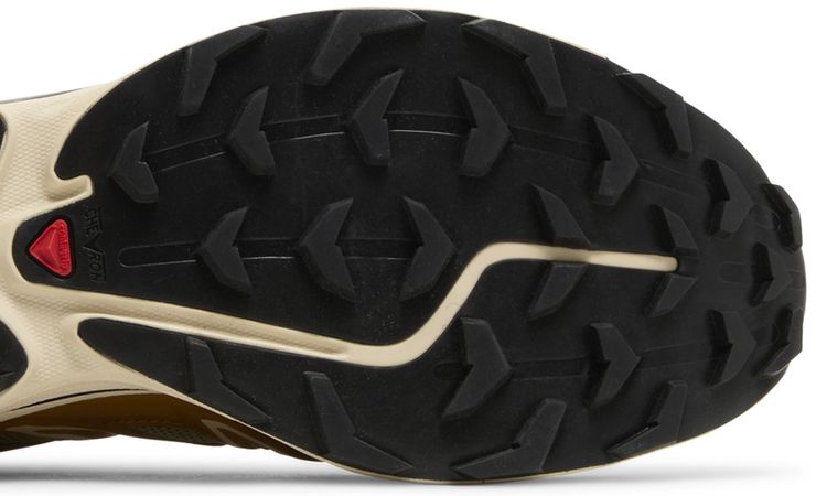 Salomon XT 6 Expanse Cathay Spice