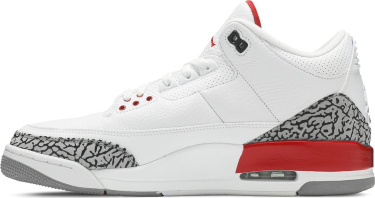 Sneaker Politics x Air Jordan 3 Retro Hall of Fame