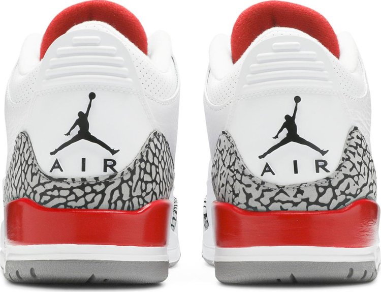 Sneaker Politics x Air Jordan 3 Retro Hall of Fame