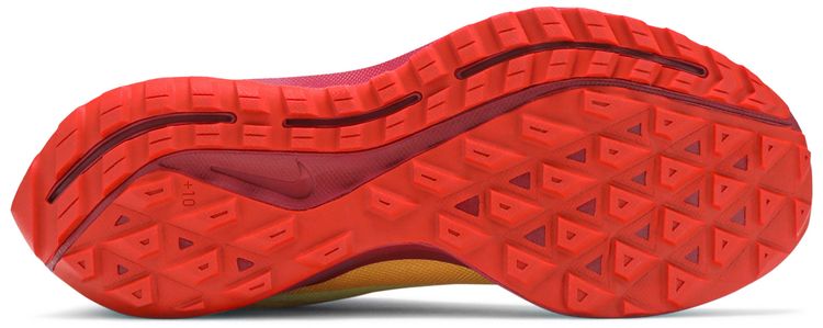 Zoom Pegasus 36 Trail Gore Tex
