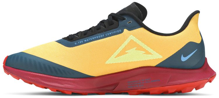 Zoom Pegasus 36 Trail Gore Tex