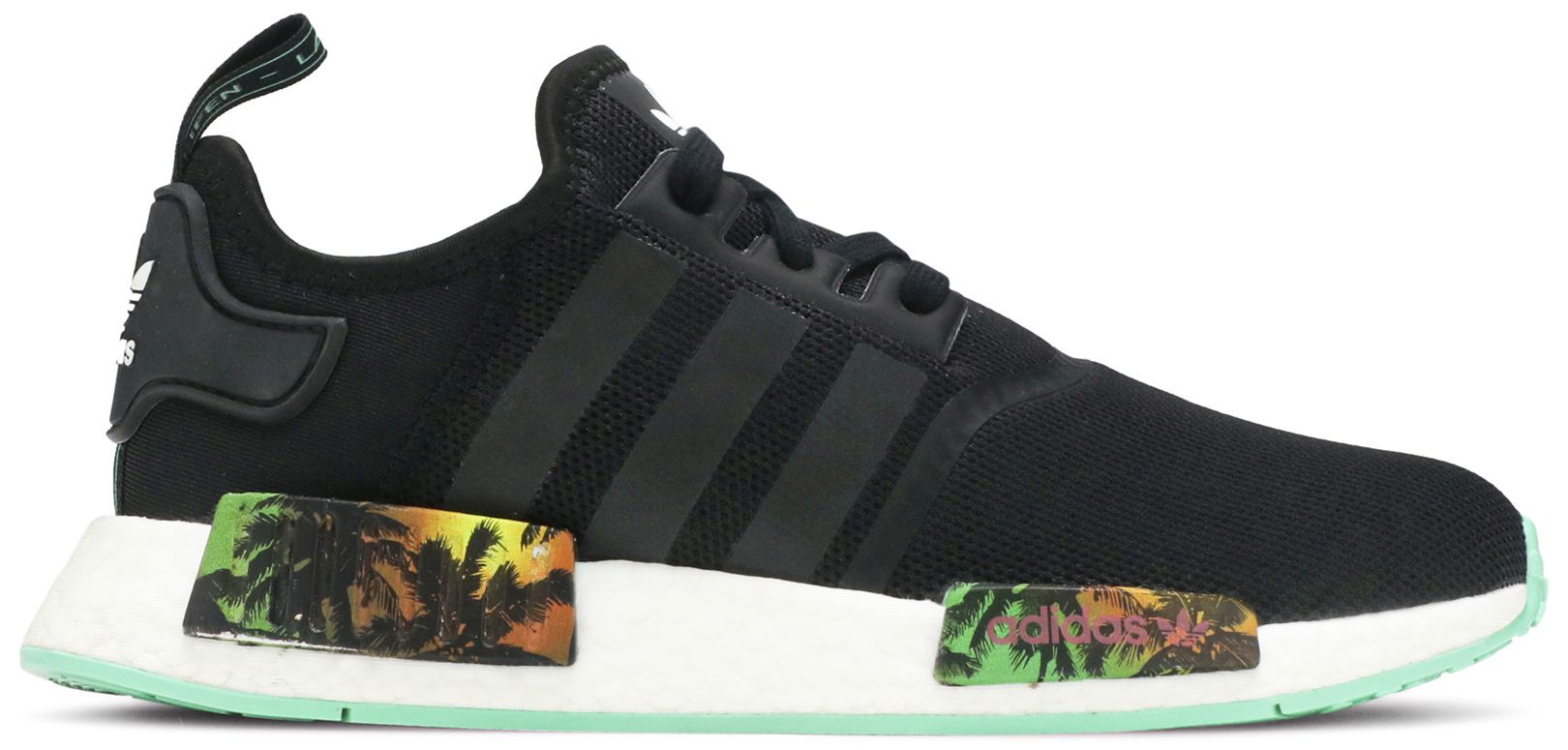 nmd palm tree