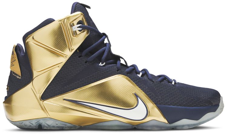 Nike LeBron 12 Akron PE