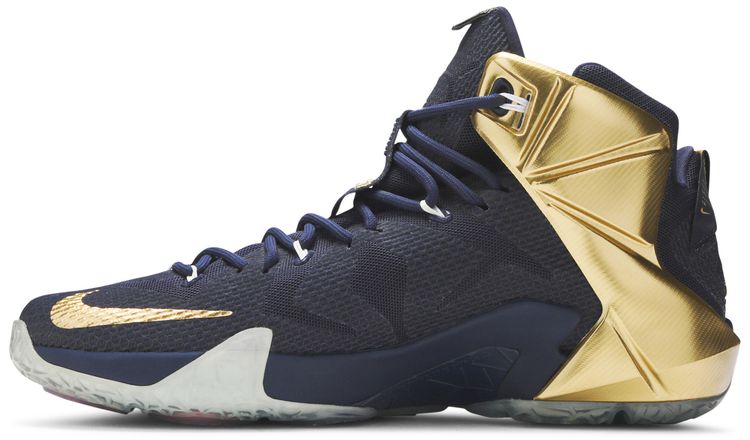 Nike LeBron 12 Akron PE