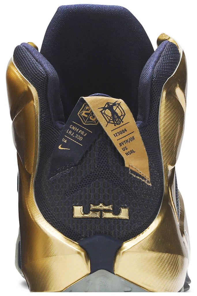 Nike LeBron 12 Akron PE