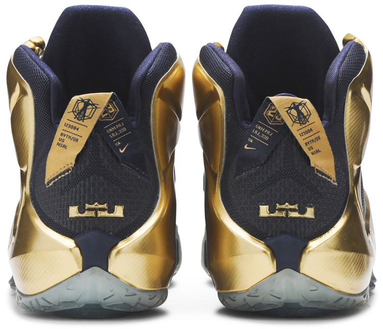 Nike LeBron 12 Akron PE