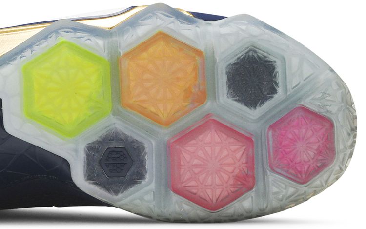 Nike LeBron 12 Akron PE