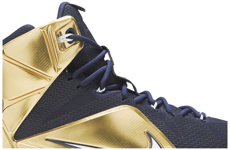 Nike LeBron 12 Akron PE