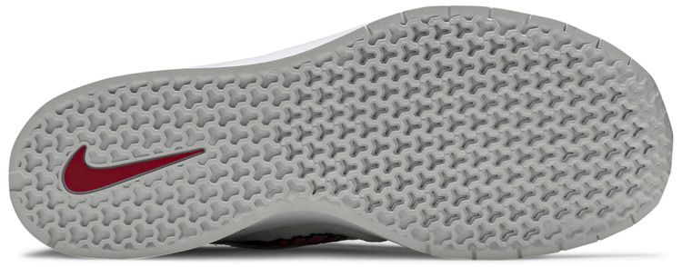 Nike Air Max Janoski 2 SB White Watermelon