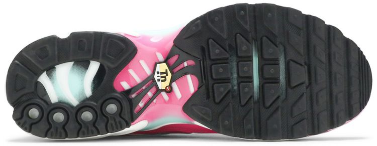 Nike Air Max Plus GS South Beach