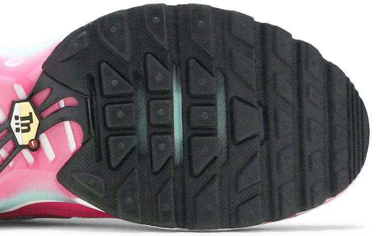 Nike Air Max Plus GS South Beach