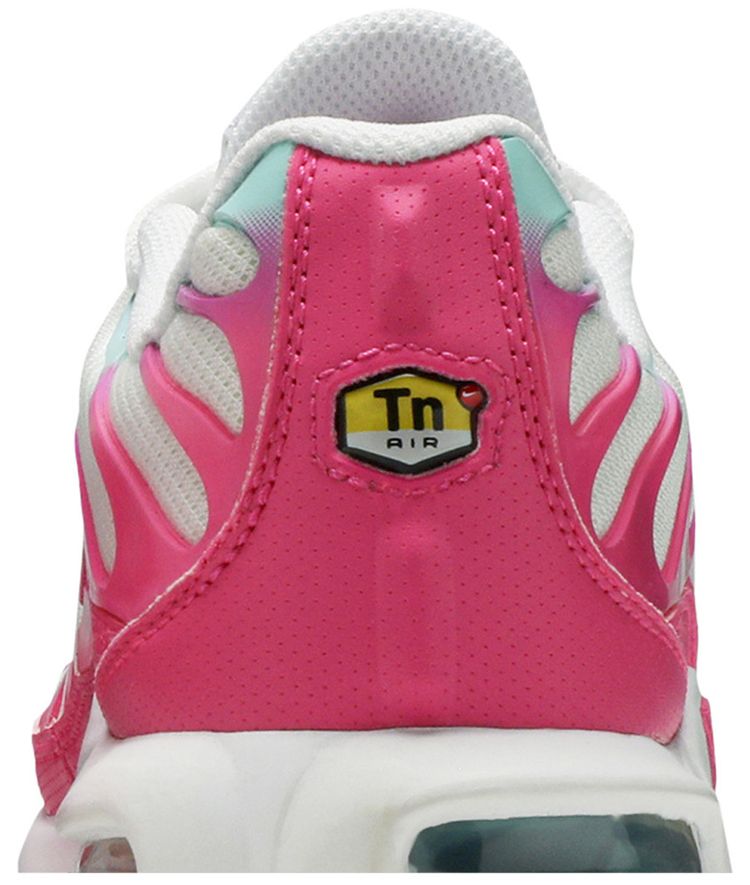 Nike Air Max Plus GS South Beach