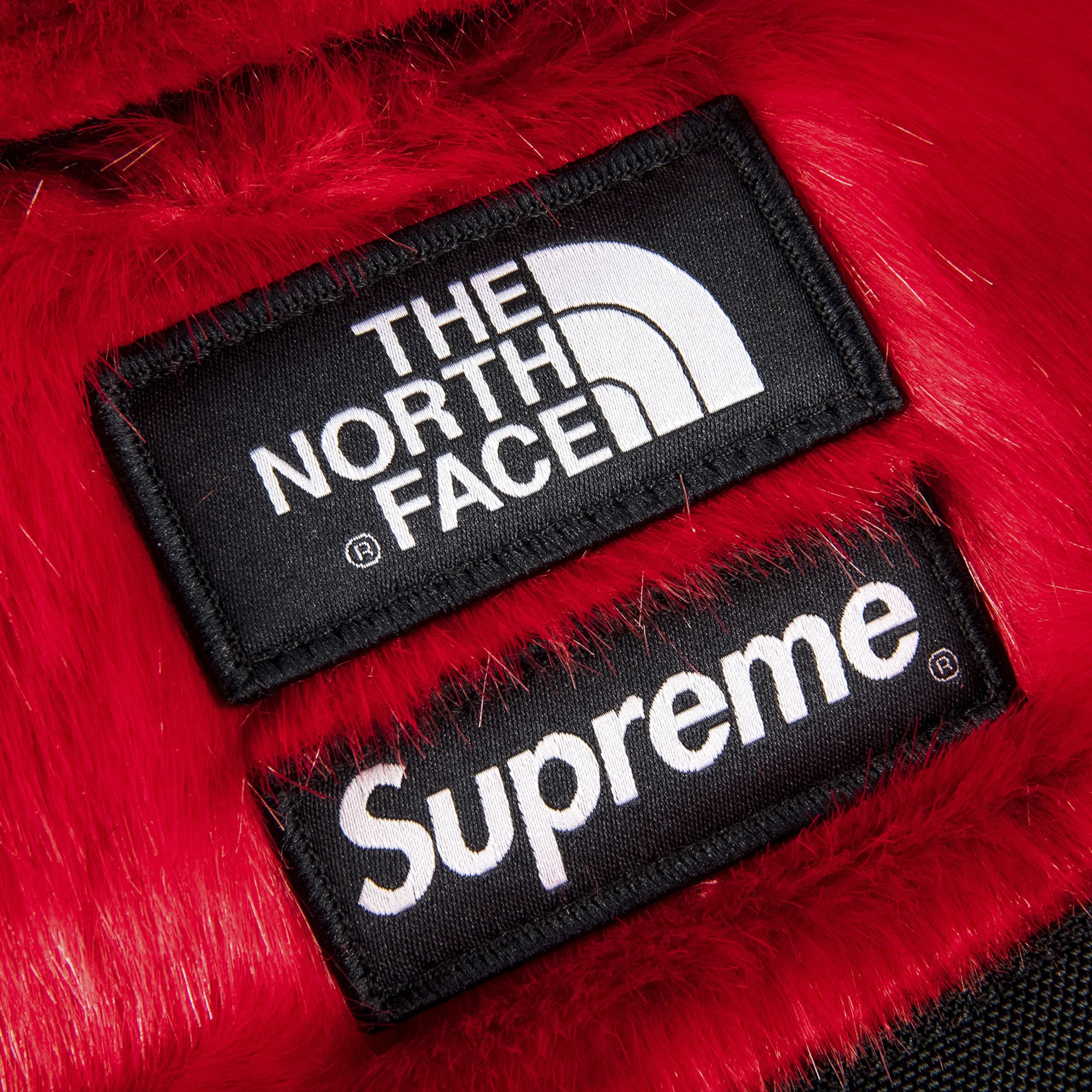 Fake supreme north face backpack discount