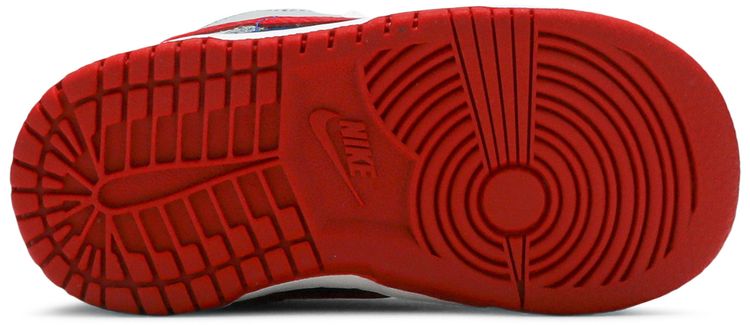 Nike Dunk Low Retro TD Samba 2020