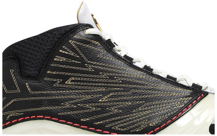 Titan x Air Jordan 23 Retro SP 10th Anniversary