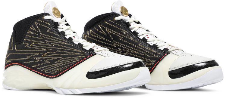 Titan x Air Jordan 23 Retro SP 10th Anniversary