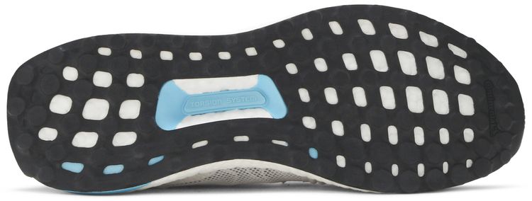 Stella McCartney x Wmns UltraBoost Parley Stone