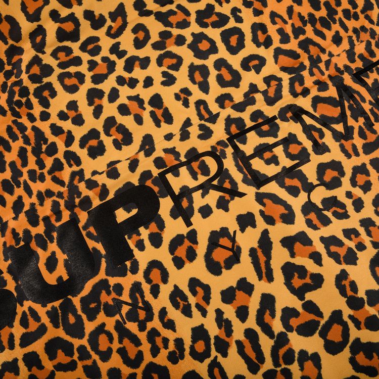 Supreme GORE TEX 700 Fill Down Parka Leopard