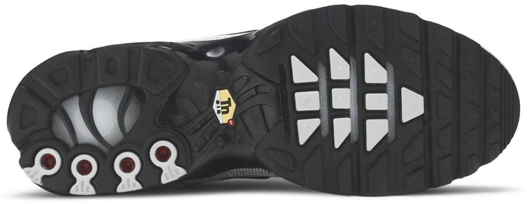 Nike Air Max Plus Platinum Black