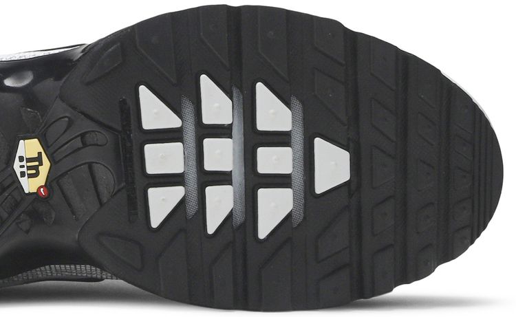 Nike Air Max Plus Platinum Black