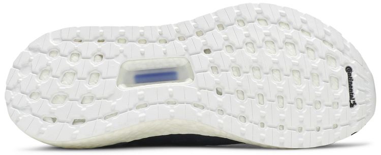 Adidas Wmns UltraBoost 19 Raw Indigo