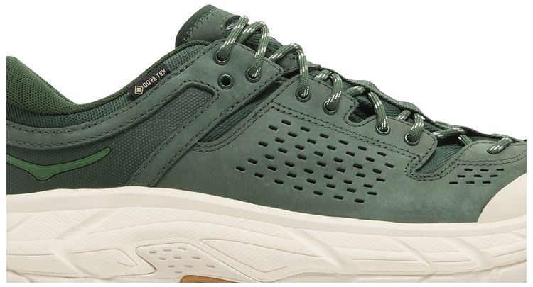 Tor Ultra Low GORE TEX Mountain View