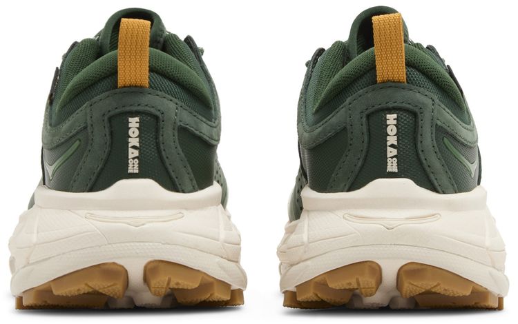 Tor Ultra Low GORE TEX Mountain View
