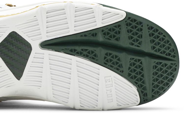 Zoom LeBron 3 QS SVSM Home