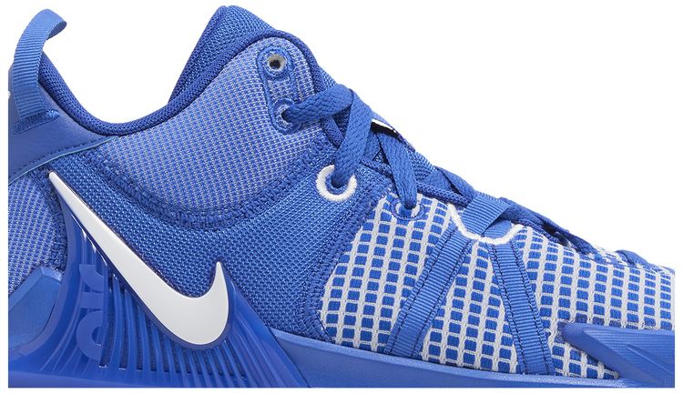 Nike LeBron Witness 7 TB Game Royal