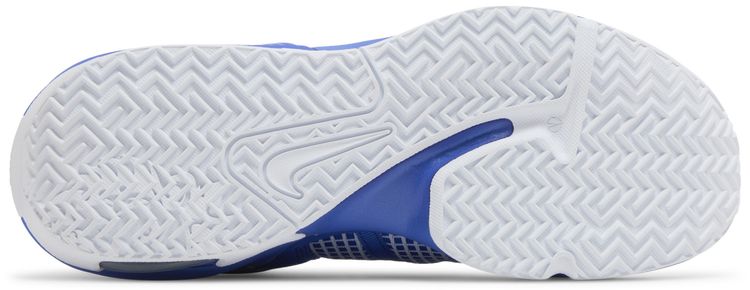 Nike LeBron Witness 7 TB Game Royal
