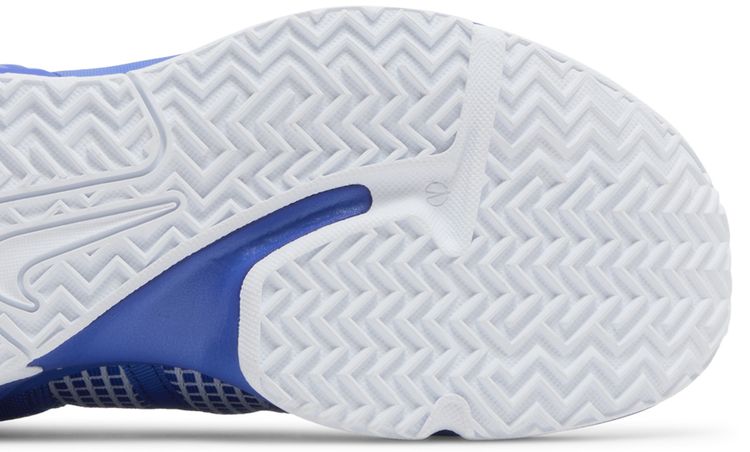 Nike LeBron Witness 7 TB Game Royal